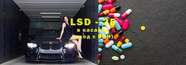 эйфоретик Покачи