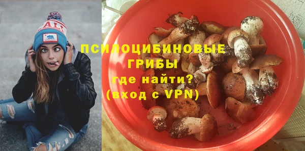 твердый Приозерск