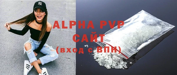 эйфоретик Покачи