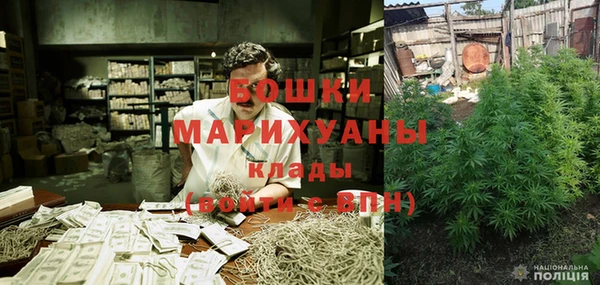 эйфоретик Покачи