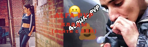 эйфоретик Покачи
