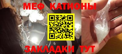 стафф Шелехов