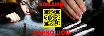 стафф Шелехов