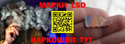 стафф Шелехов
