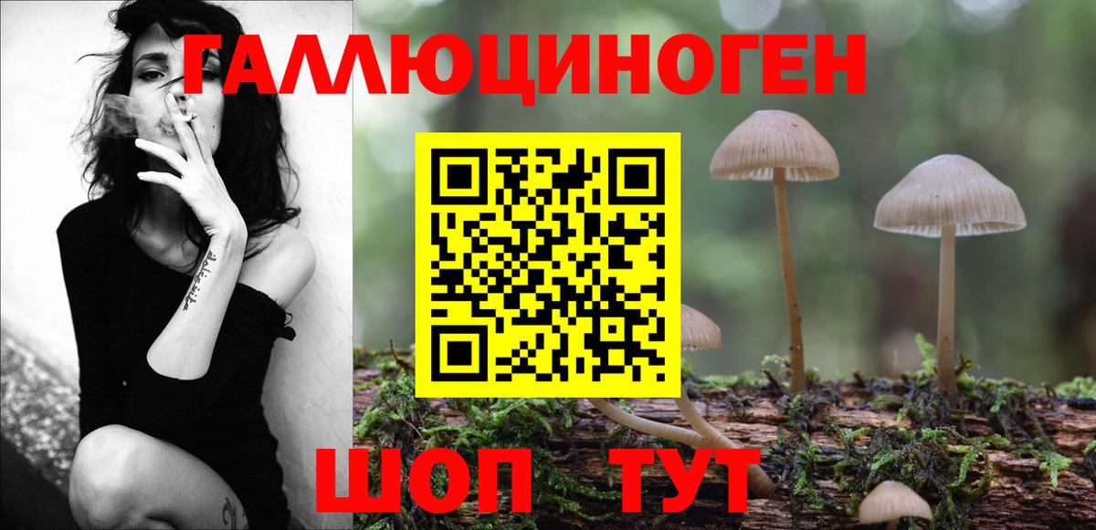 Галлюциногенные грибы MAGIC MUSHROOMS  Псилоцибиновые грибы Cubensis  Вход с VPN  Темрюк 
